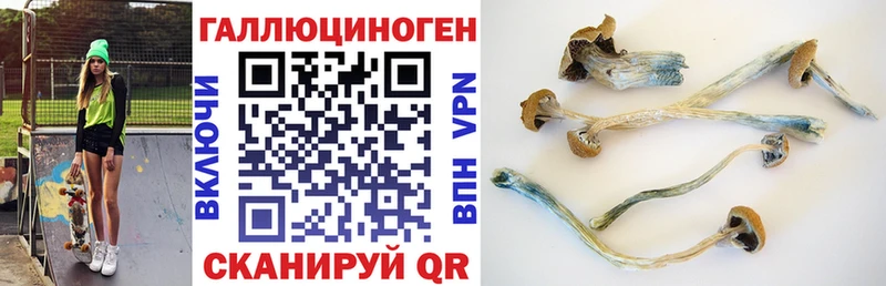 Галлюциногенные грибы GOLDEN TEACHER  кракен tor  Каргат 